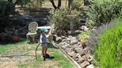 gal/gardening_granny/_thb_img_1761.jpg