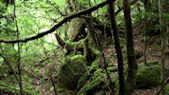 gal/japan/_thb_japan035.jpg