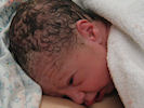 gal/sam01/_thb_sam01-02.jpg