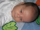 gal/sam02/_thb_sam02-11.jpg
